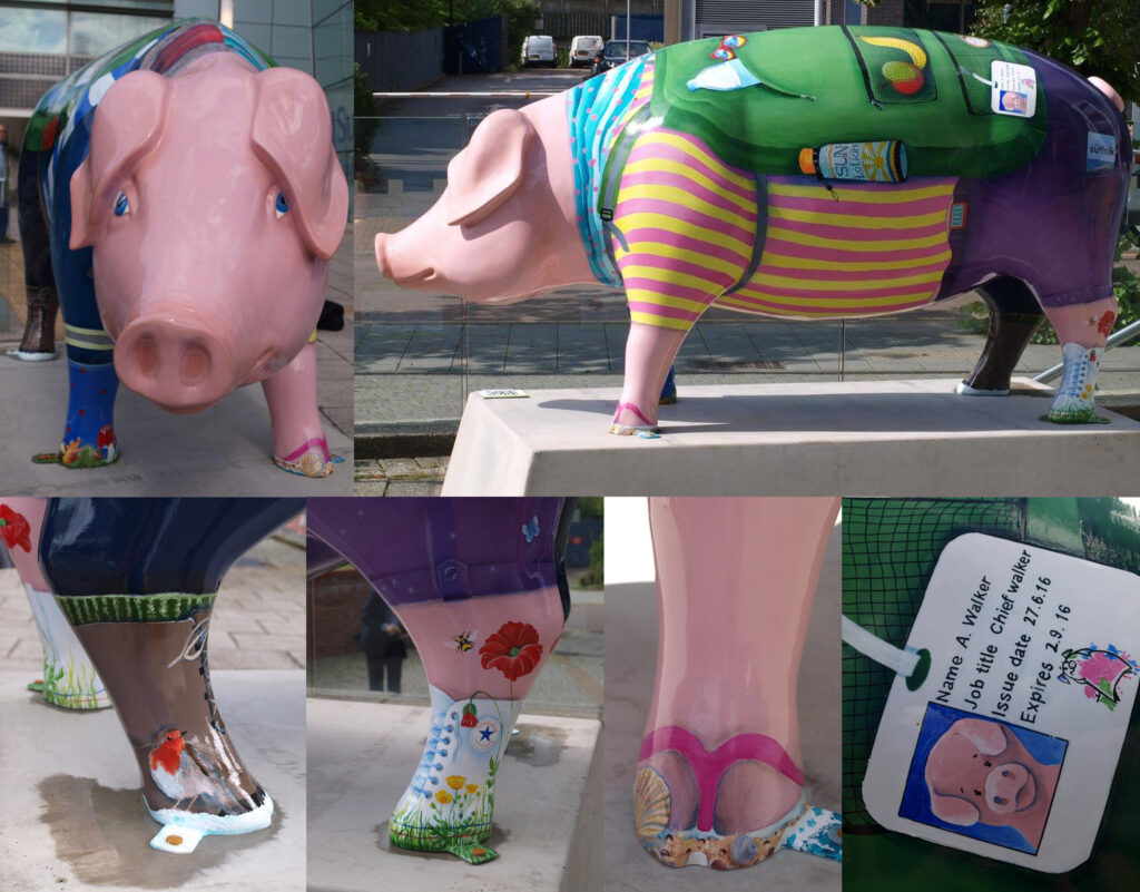 pig sculpture dressed for walking and adventure activities